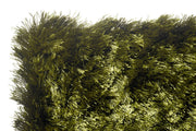 Singapore 020 Olive SSP