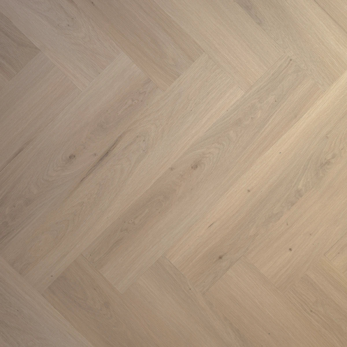 Odda Visgraat - PVC plak