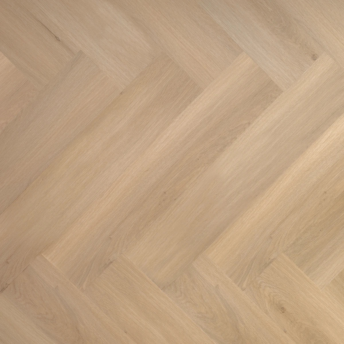 Vinstra Visgraat - PVC plak