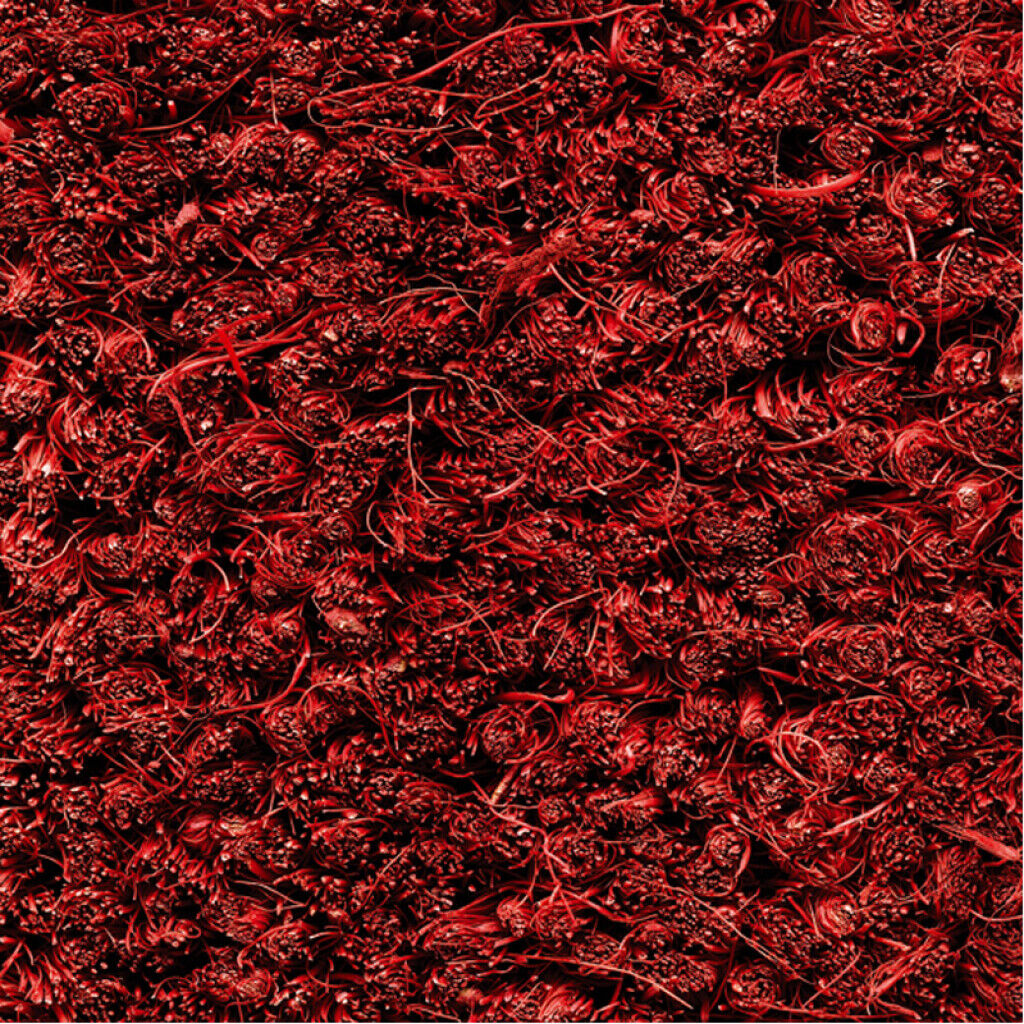 Ruco Coir 17 mm 001 Rood Rollen 200 cm