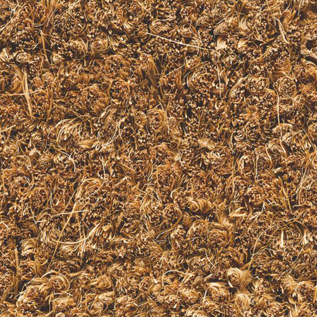 Ruco Coir 24mm Rollen 100 cm