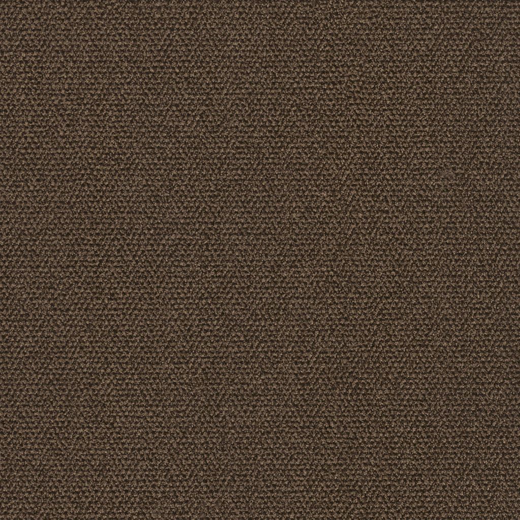 Salon camel 0405