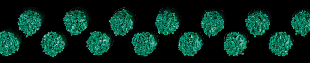 Profi Brush 4mm 004 Groen