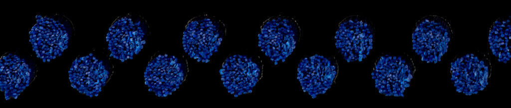 Profi Brush 4mm 010 Blauw