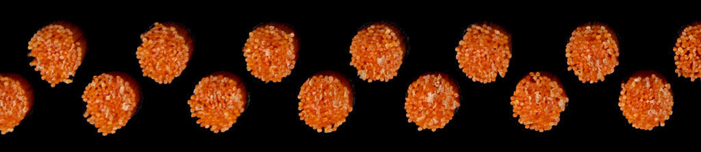 Profi Brush 4mm 099 Oranje