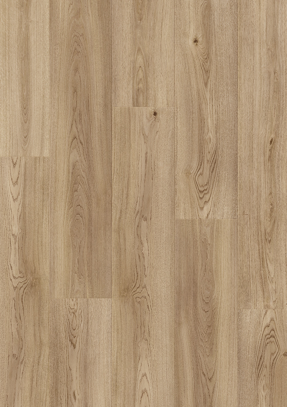 Beautifloor Clyde Aqua shield