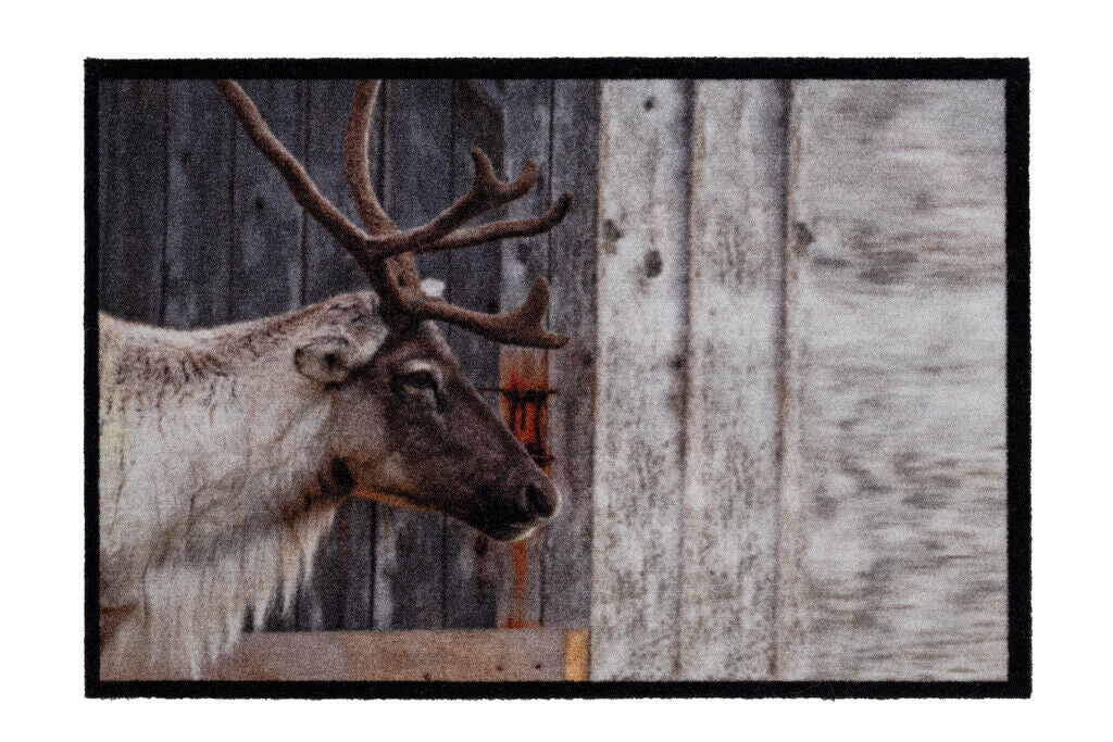 Mondial 070 Wild Deer 50x75 cm