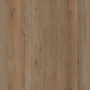 Leyton dryback smoky