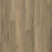 Paddington klik SRC smoky