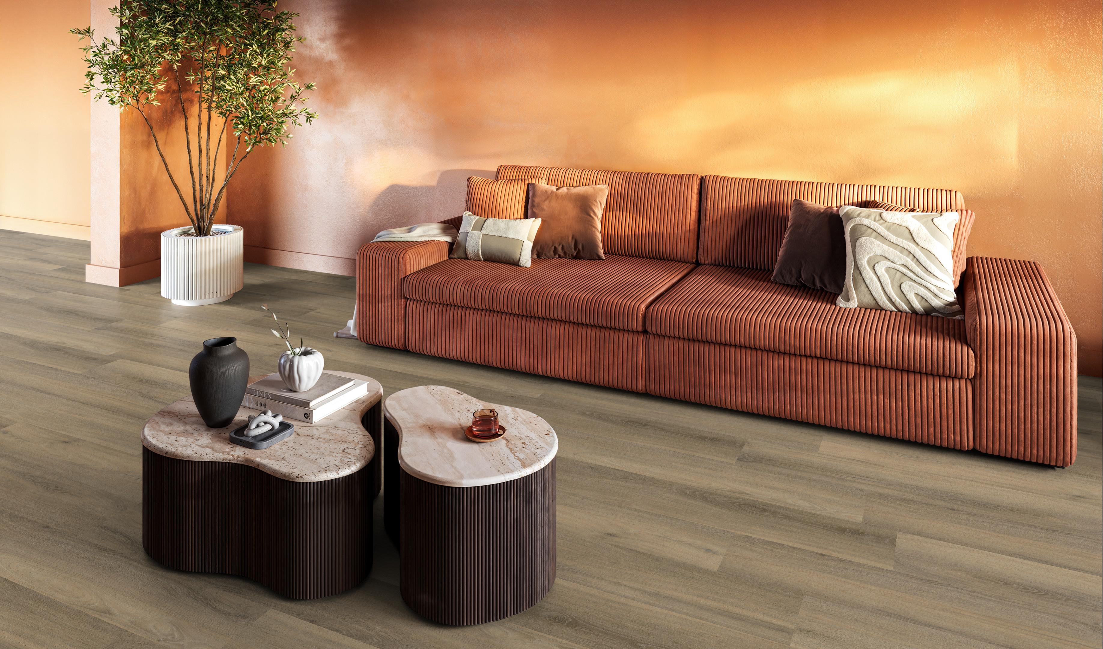 Paddington klik SRC smoky