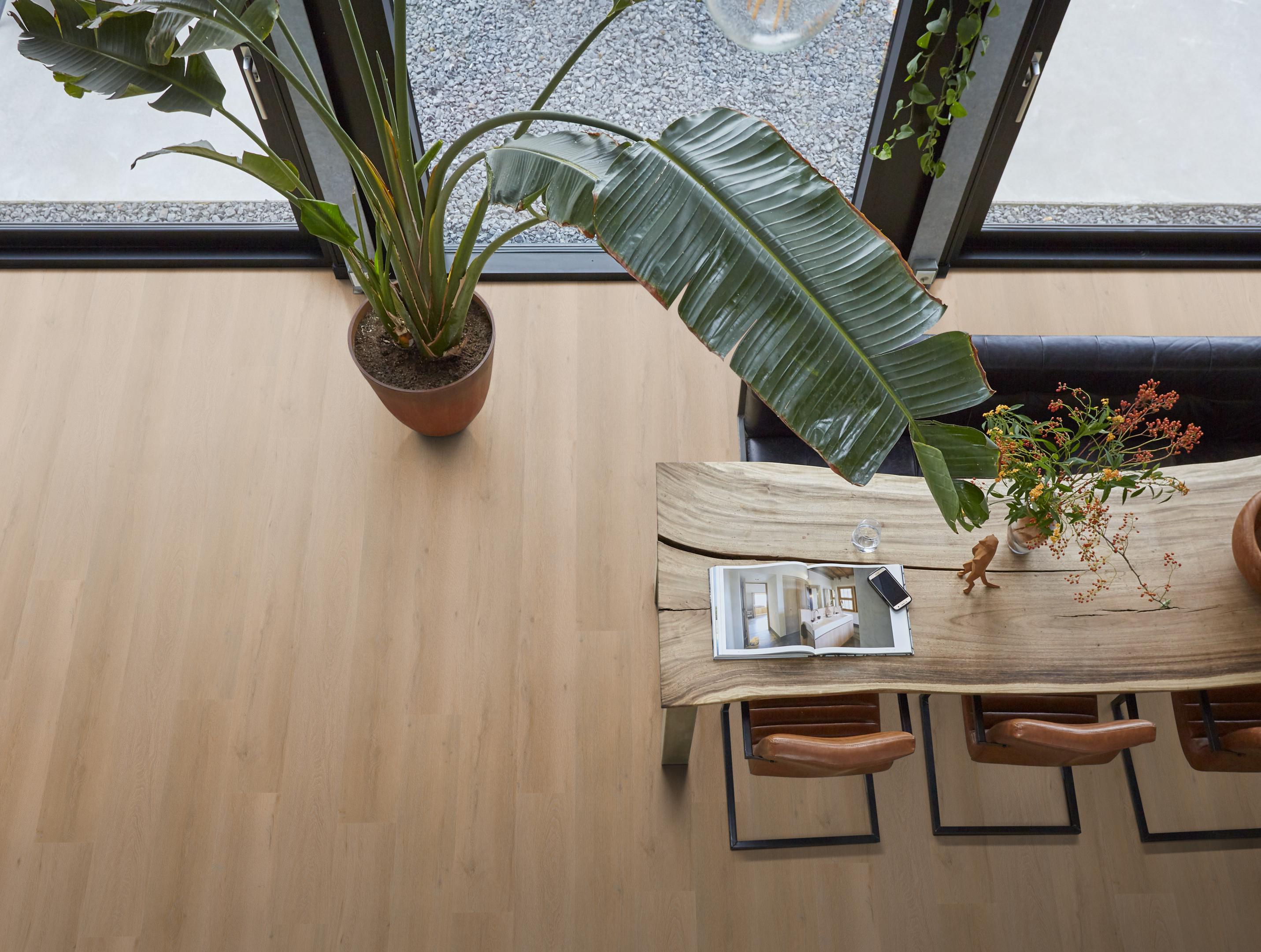 Leyton click warm oak