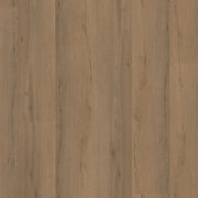 Barnet dryback dark oak