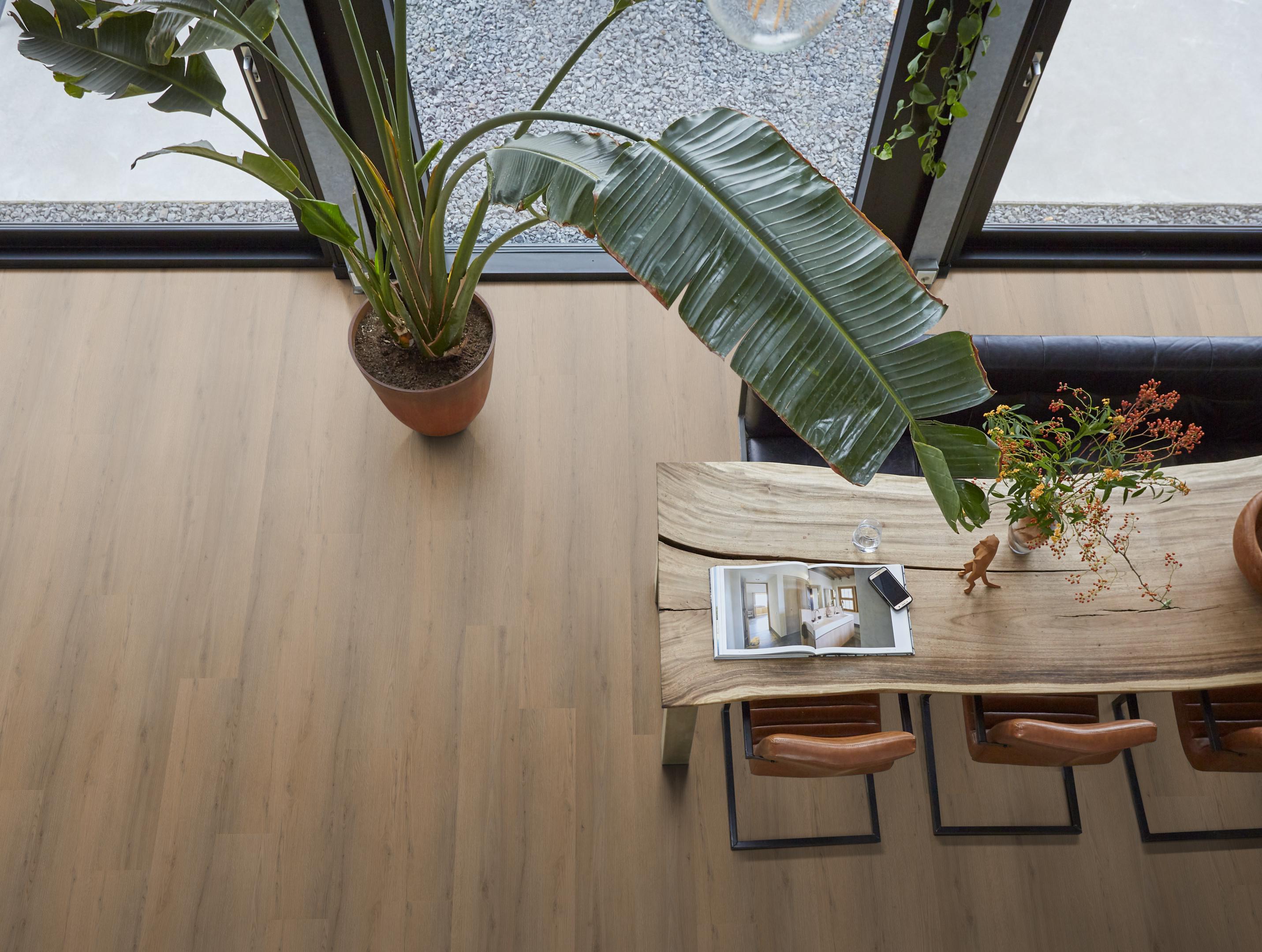 Barnet dryback dark oak