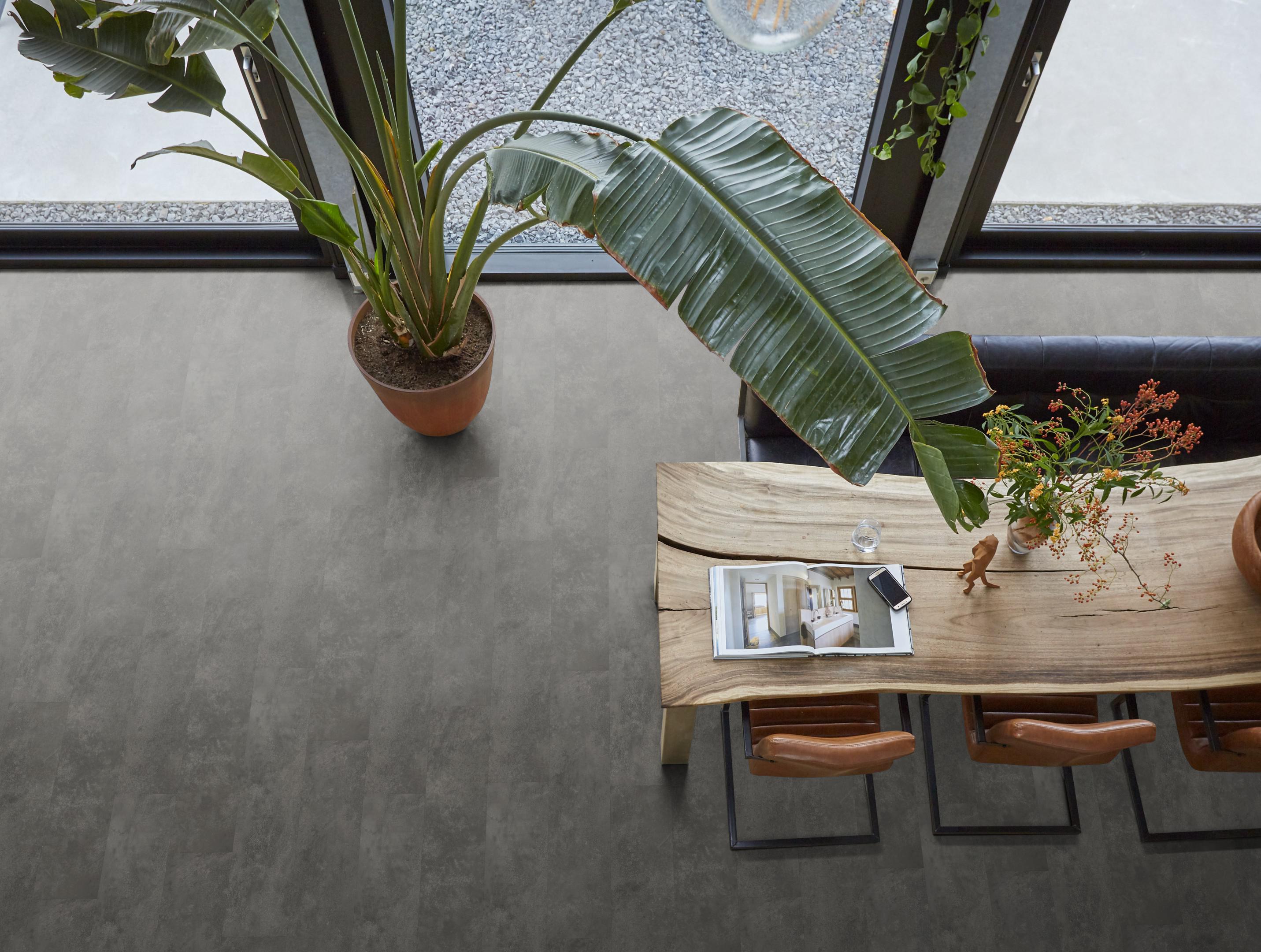 Finsbury dryback grey