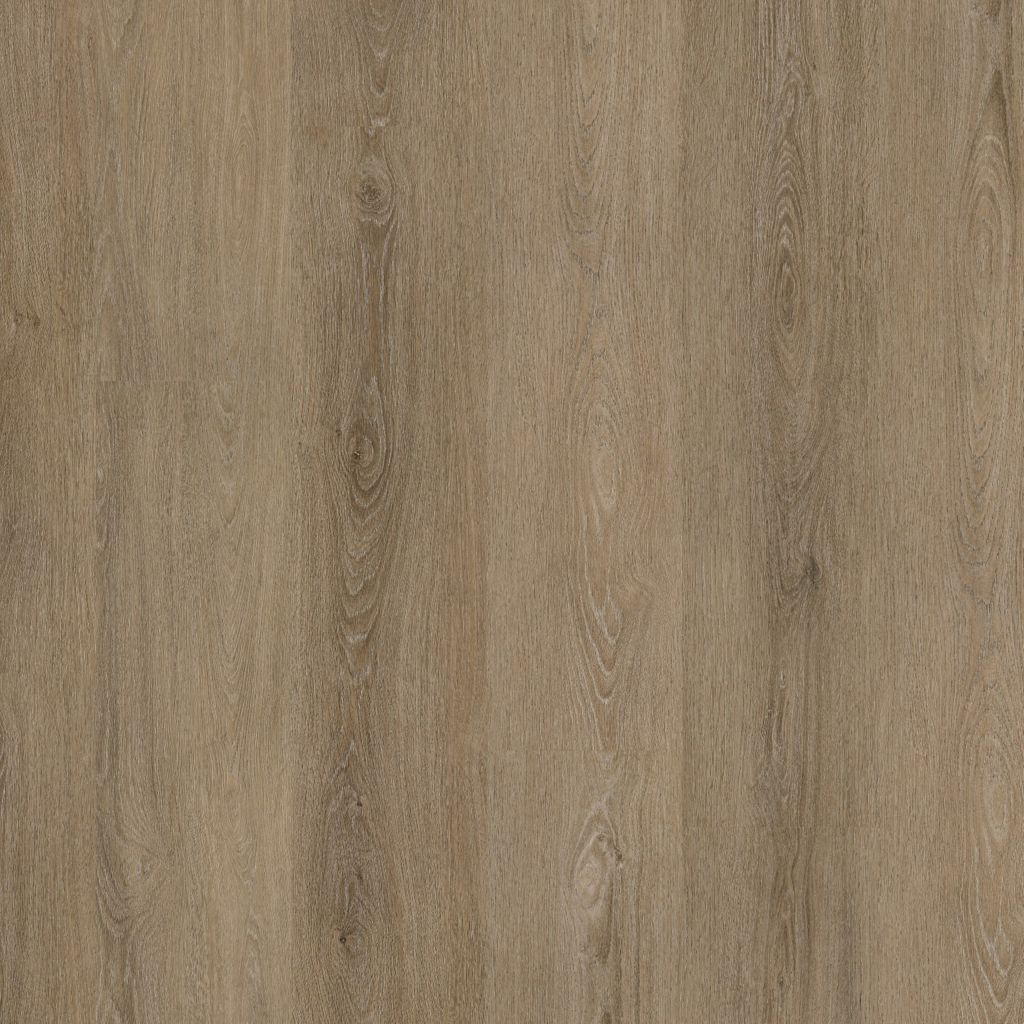 Sutton dryback rokerig
