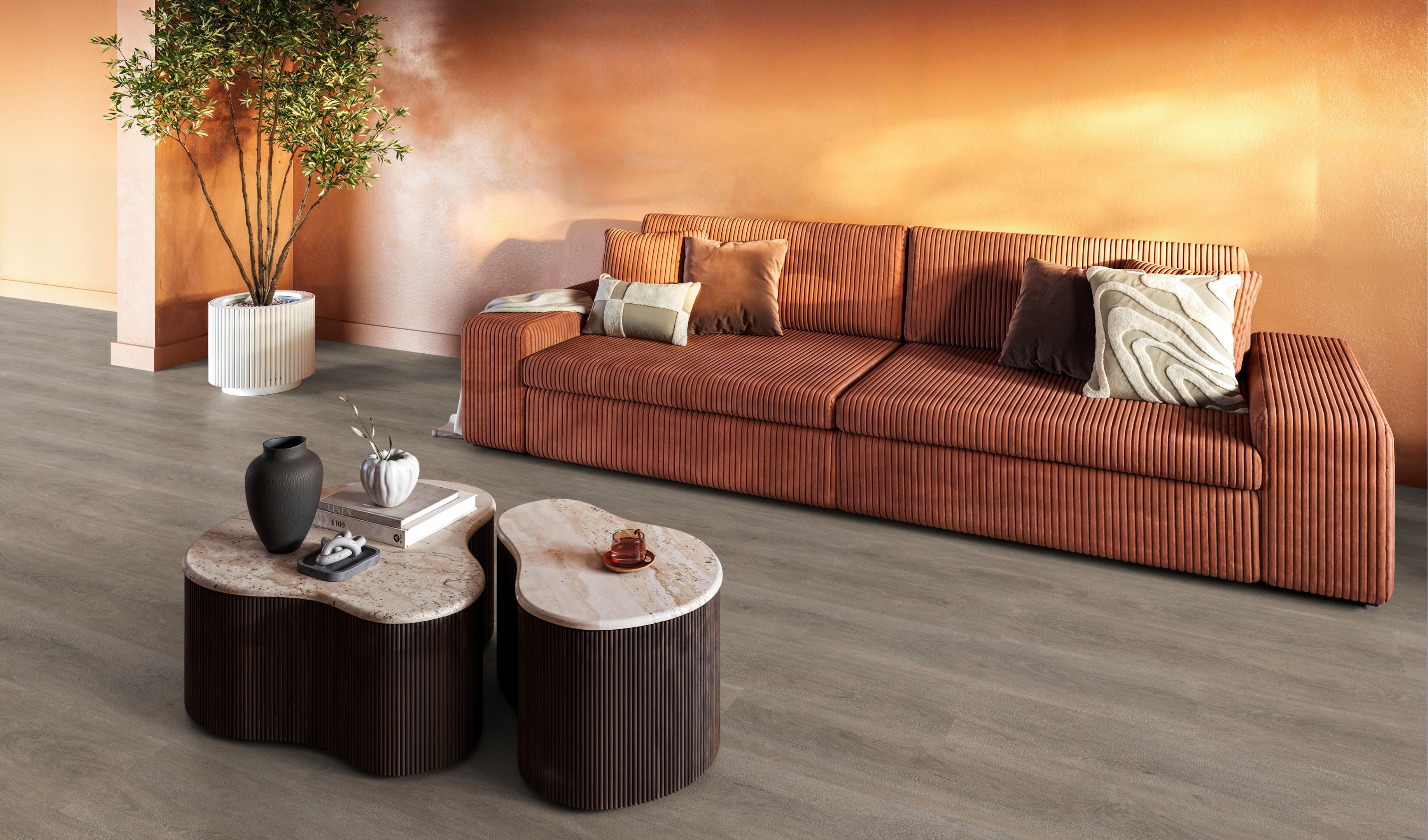Parramatta dryback smoky