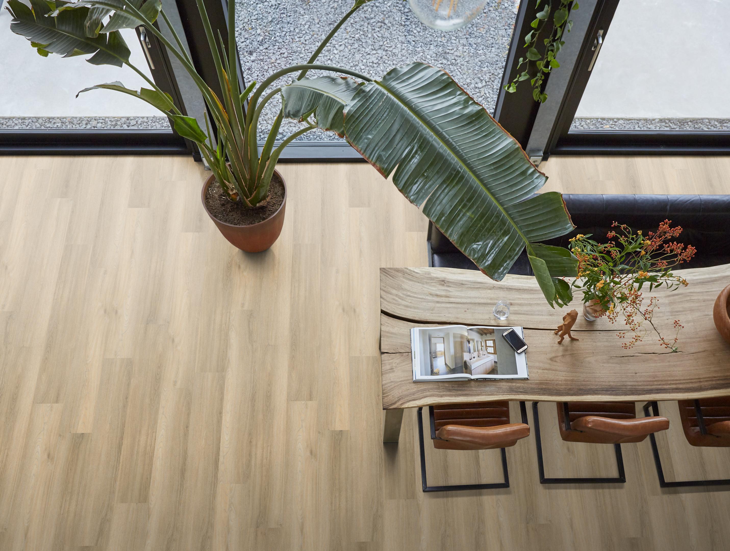 Paddington dryback beige