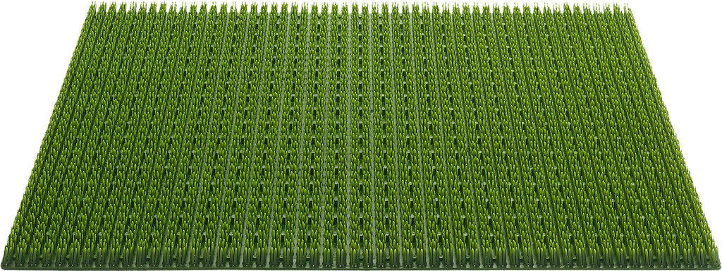 Condor 004 Groen 40x60 cm