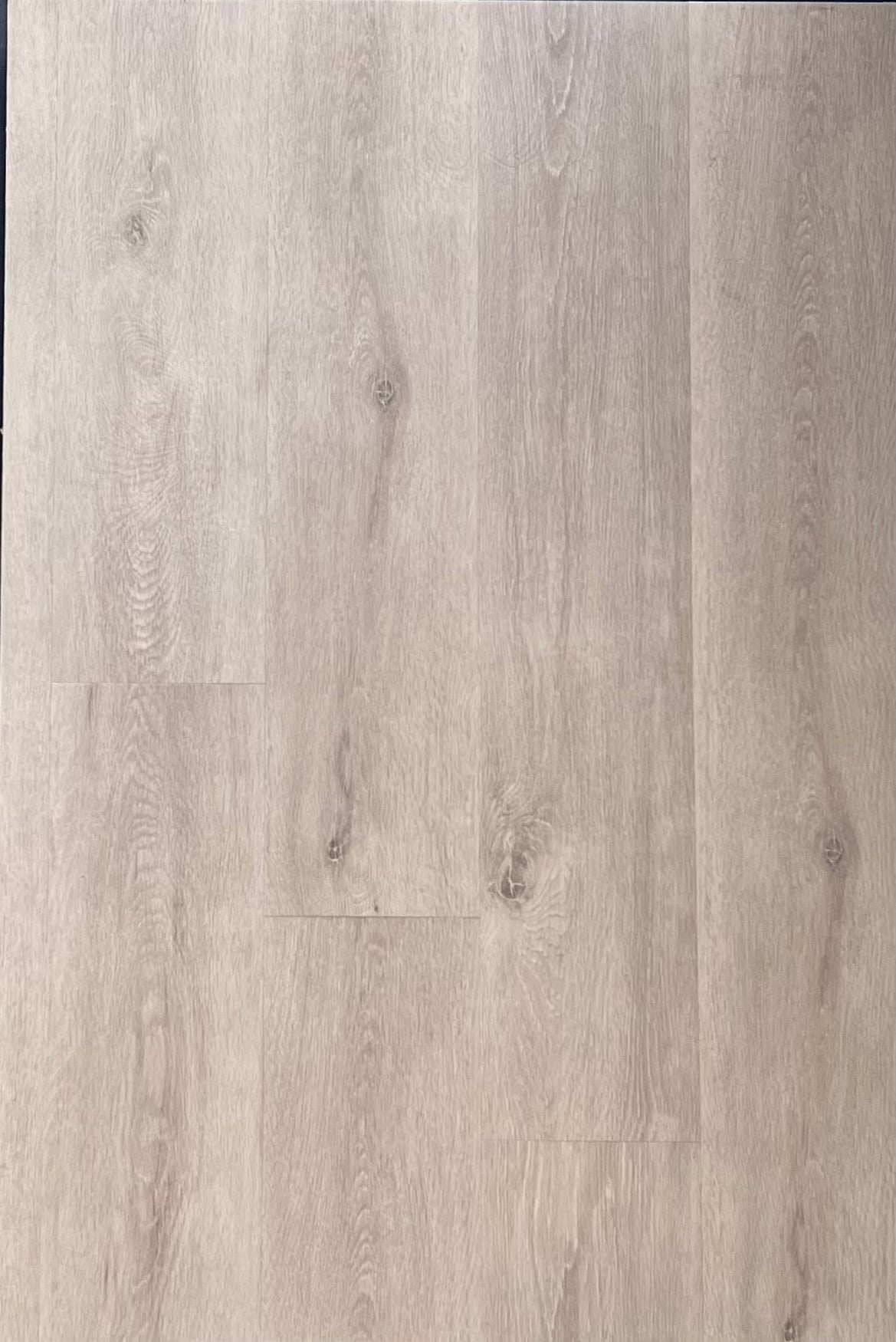 spring oak light grey dryback pvc