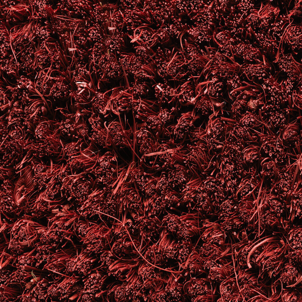 Ruco Coir 17 mm 060 Bordeaux Rollen 100 cm