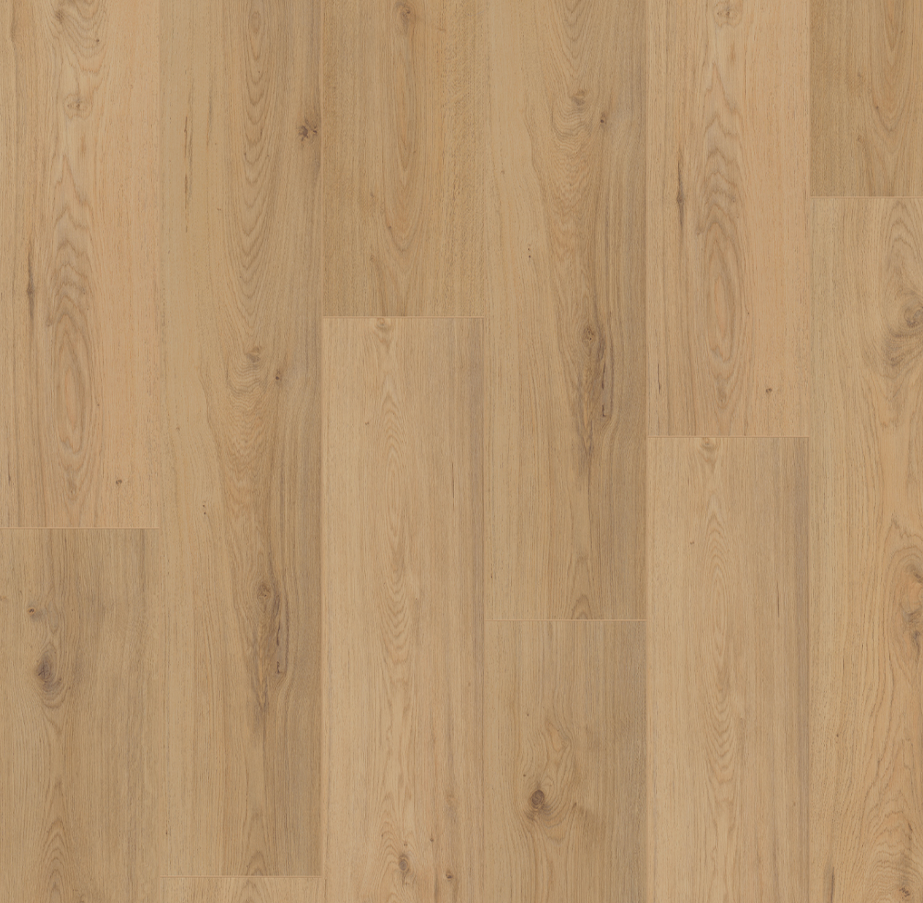 kronotex sp805 millenium eiken