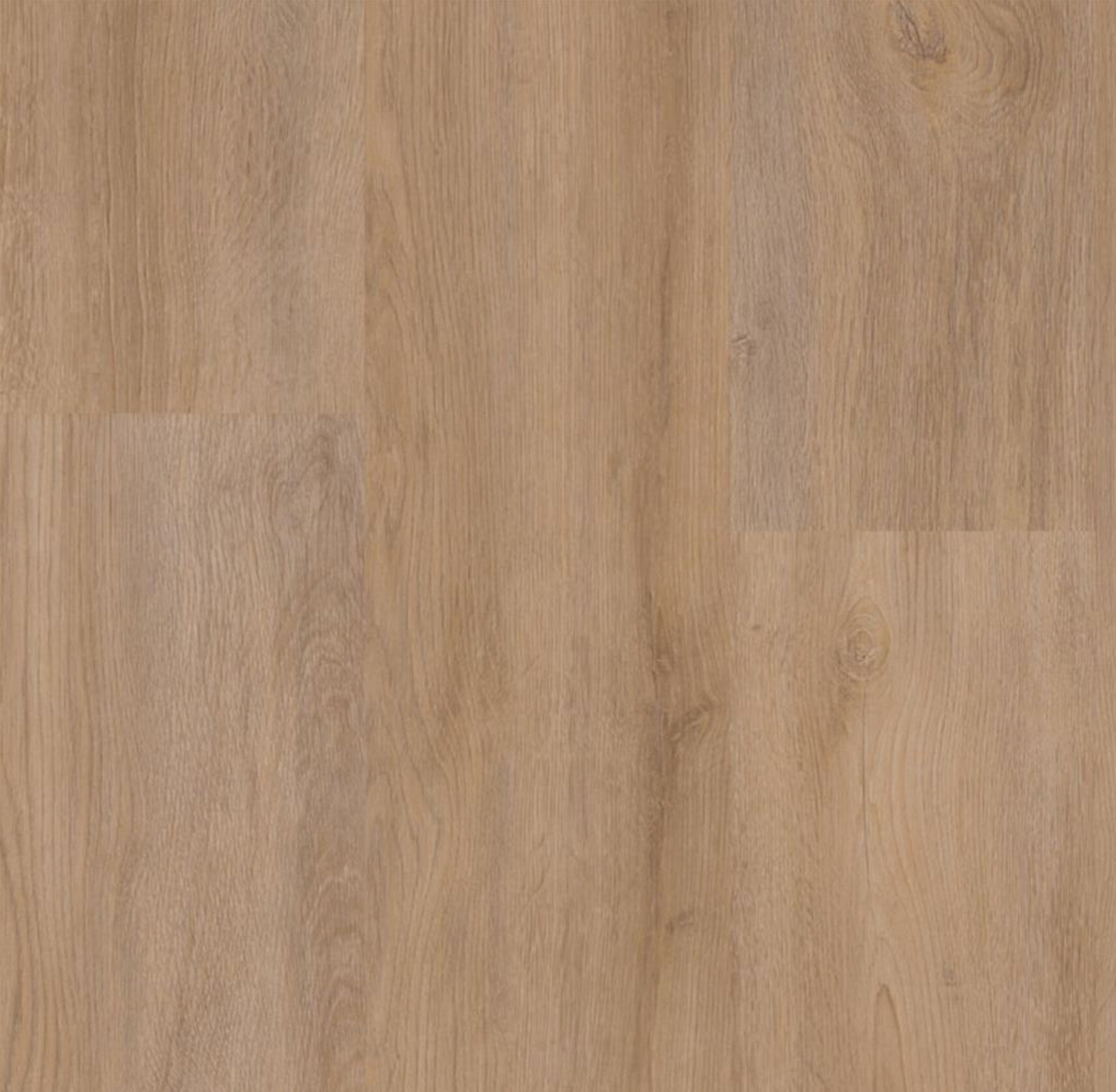 Premium oak D4954 | Grand oak 1901 kronotex laminaat