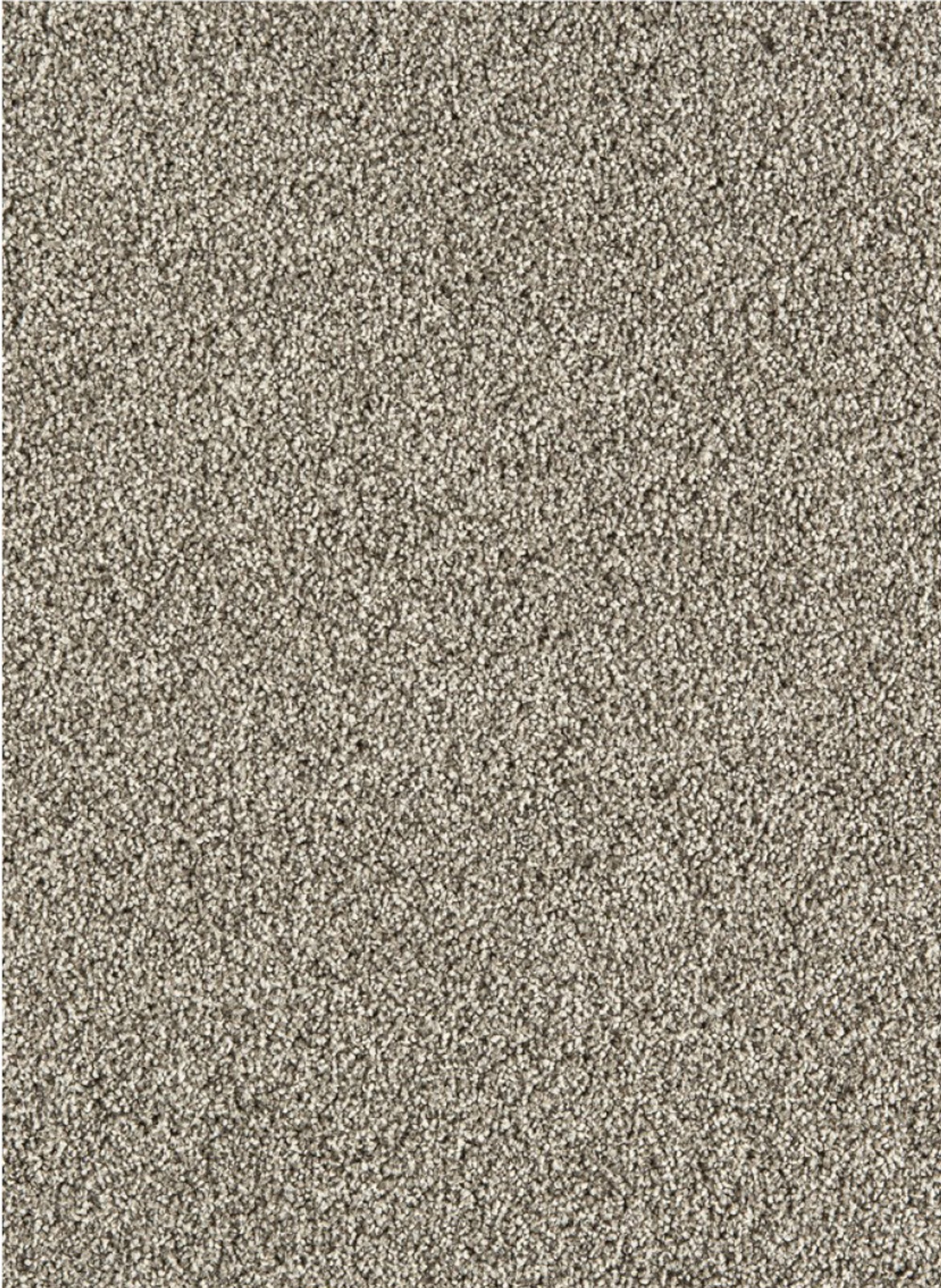 Massiv SDN 38