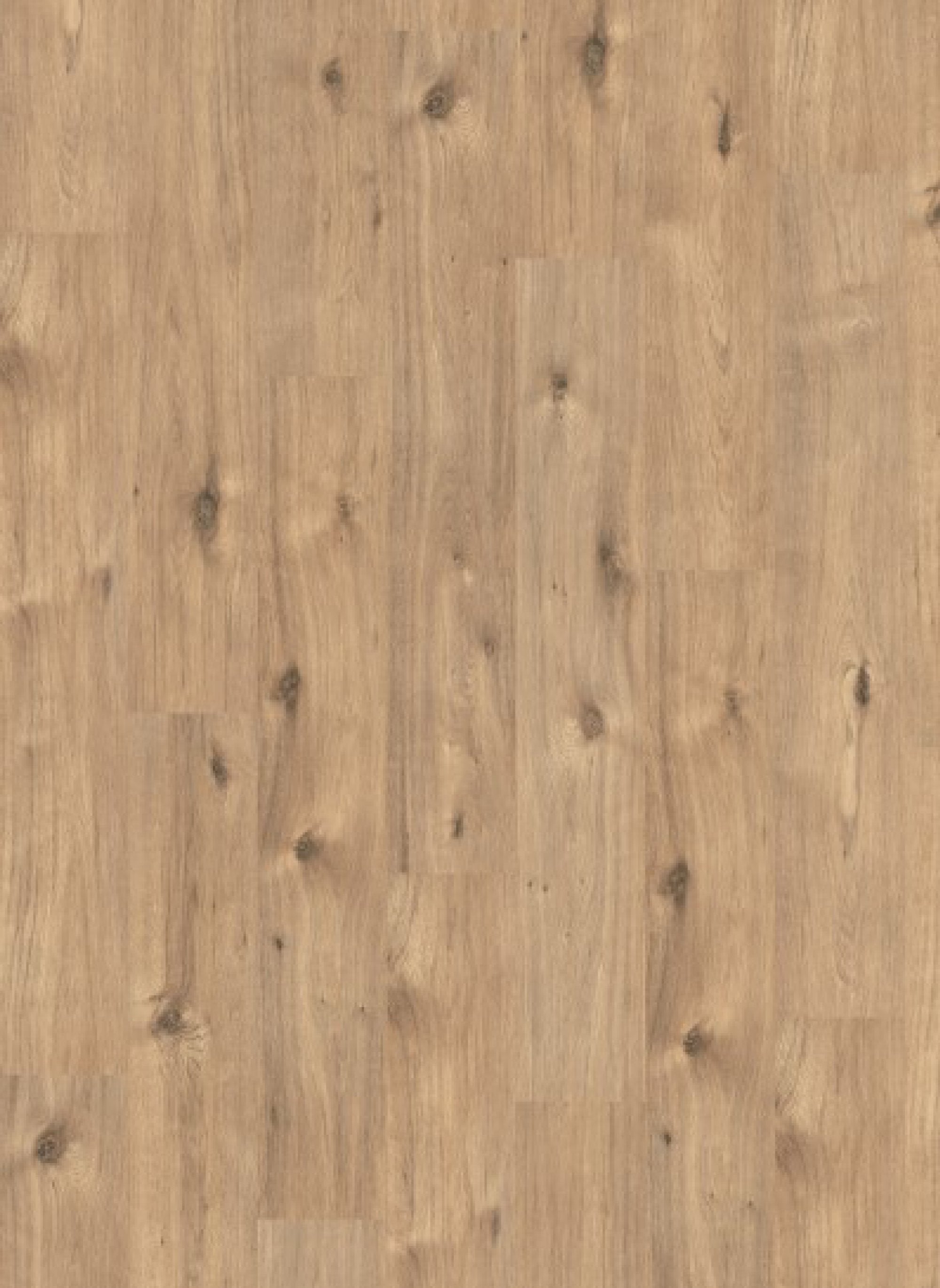 Panthera 1061 Achensee Oak