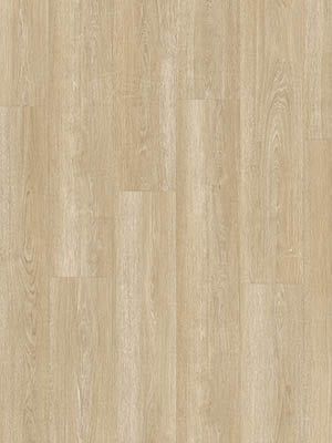 Drenthe Borger - PVC plak