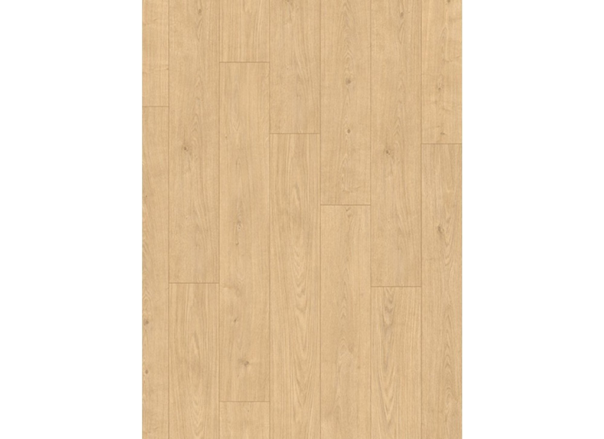 Panthera 1038 Rio Oak