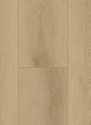 Firmfit 6500 (dryback) Sierra light