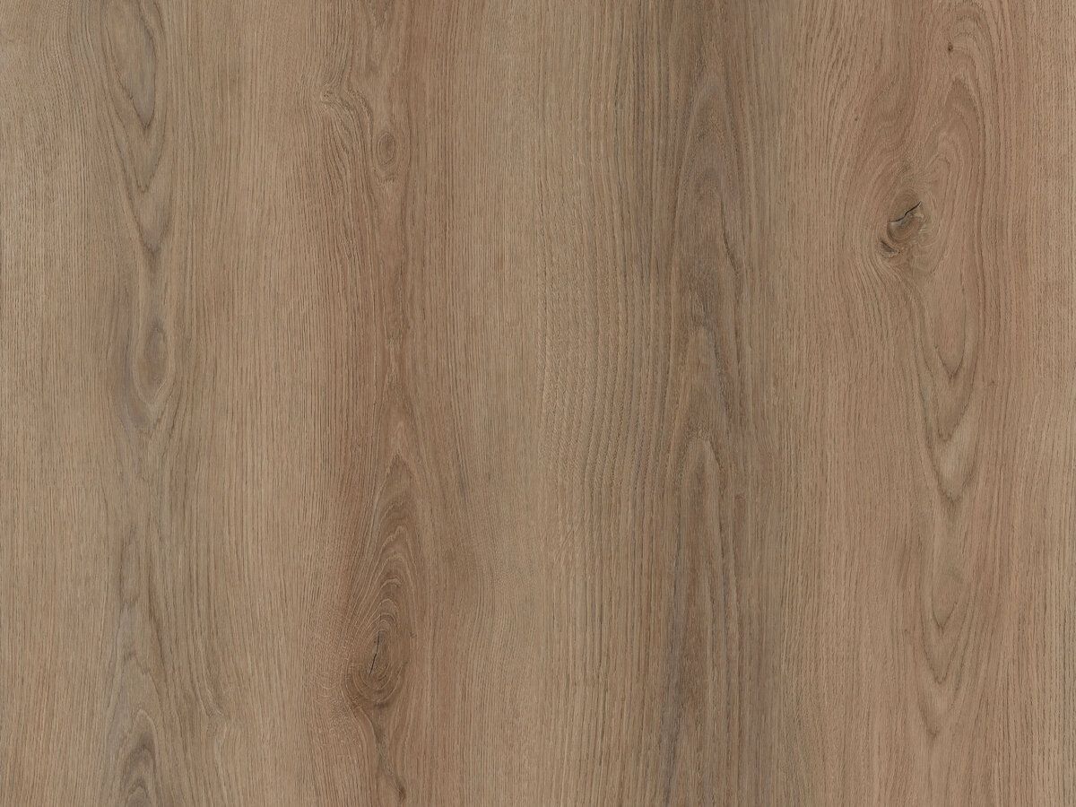 Sierra Plank Dry-Back
