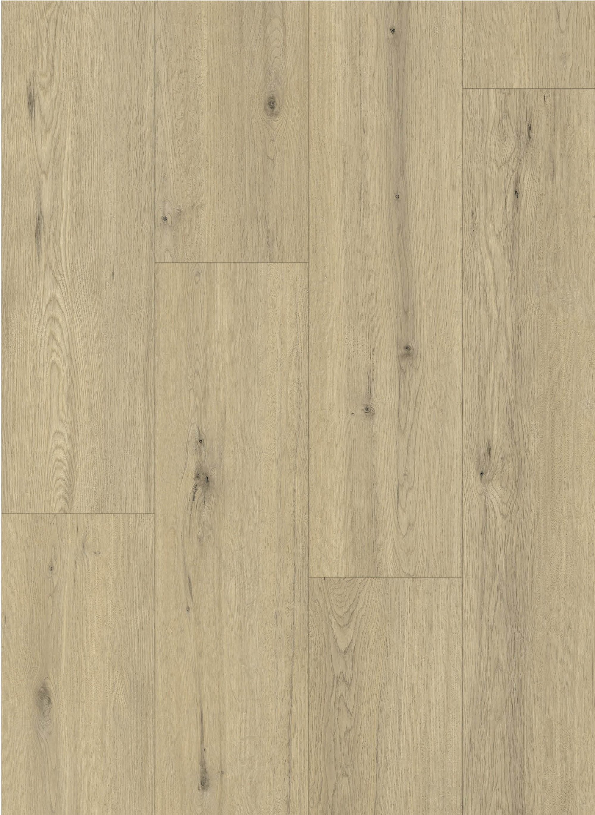 Maestro 80641 Chur Oak