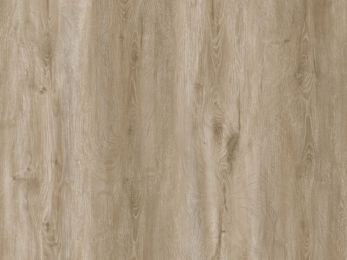 Amazon Plank Click