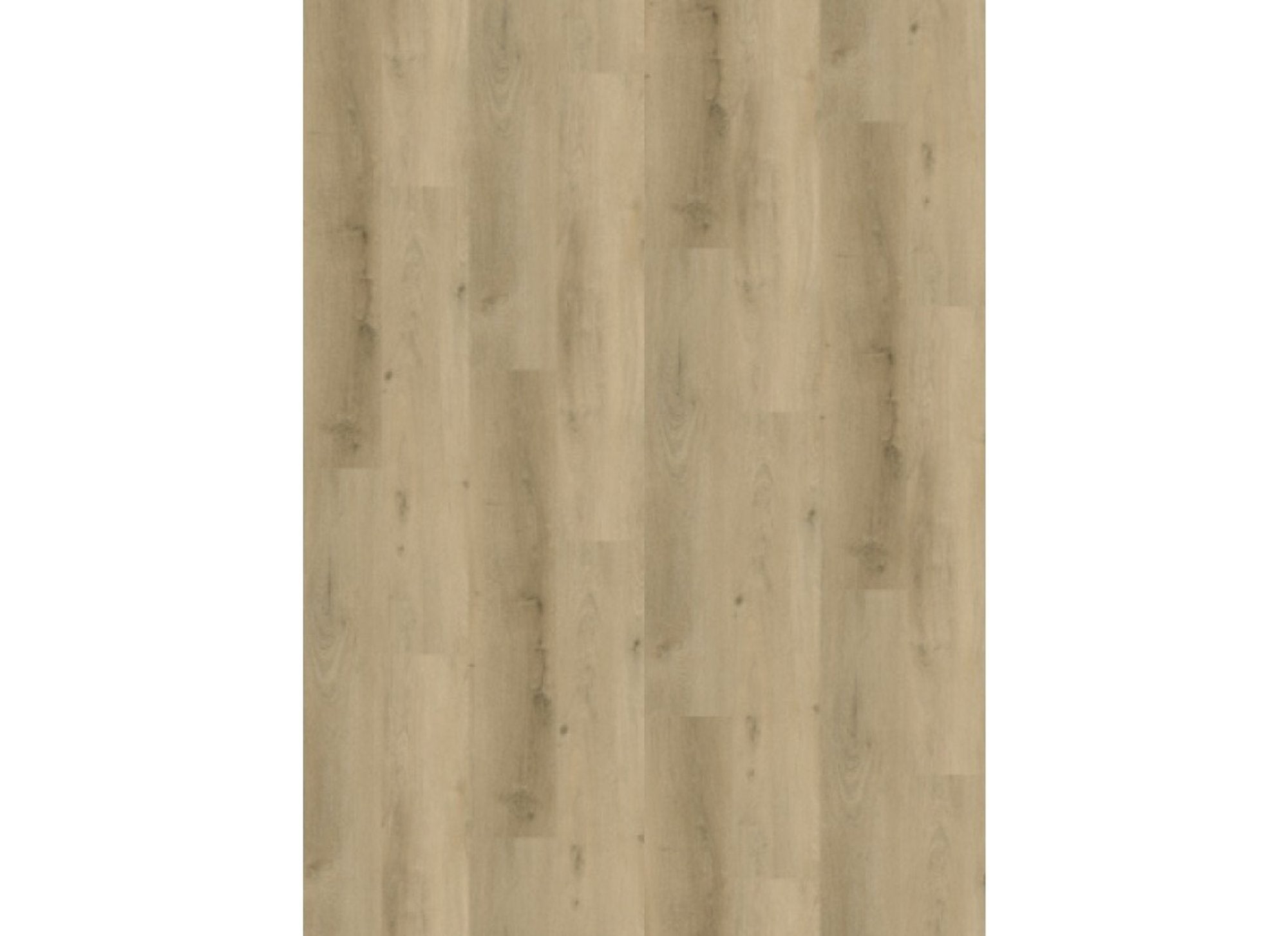 Vario 4905 (dryback) Prestige Oak Smoked Light