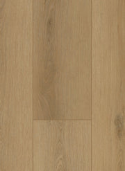 Firmfit 6502 (dryback) Sierra Naturel