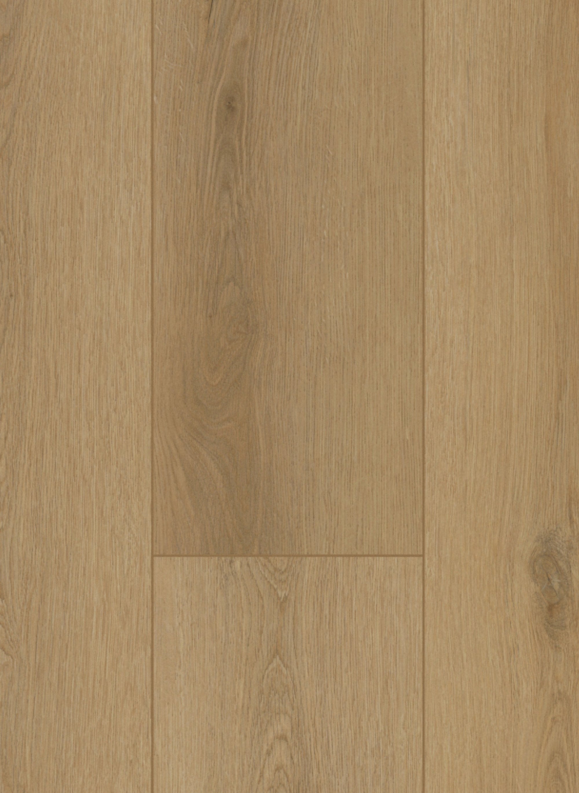 Firmfit 6502 (dryback) Sierra Naturel