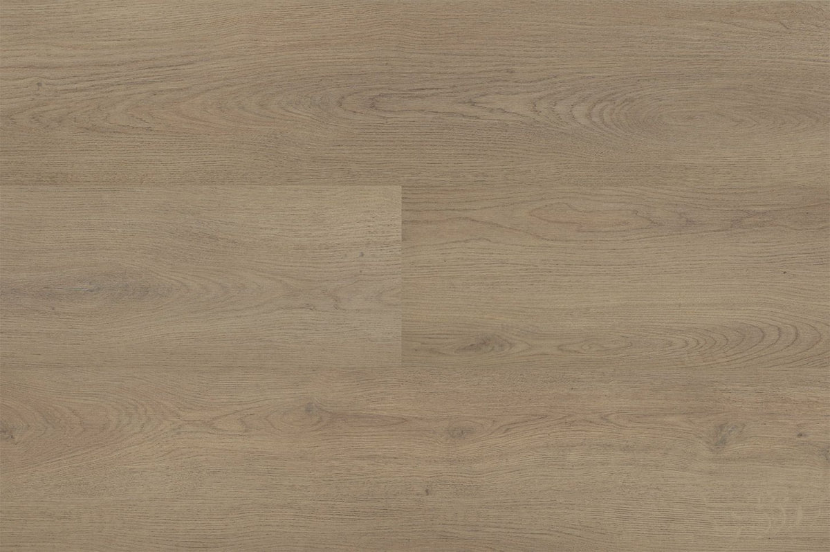 Chablis XL Plank 55855 - PVC klik