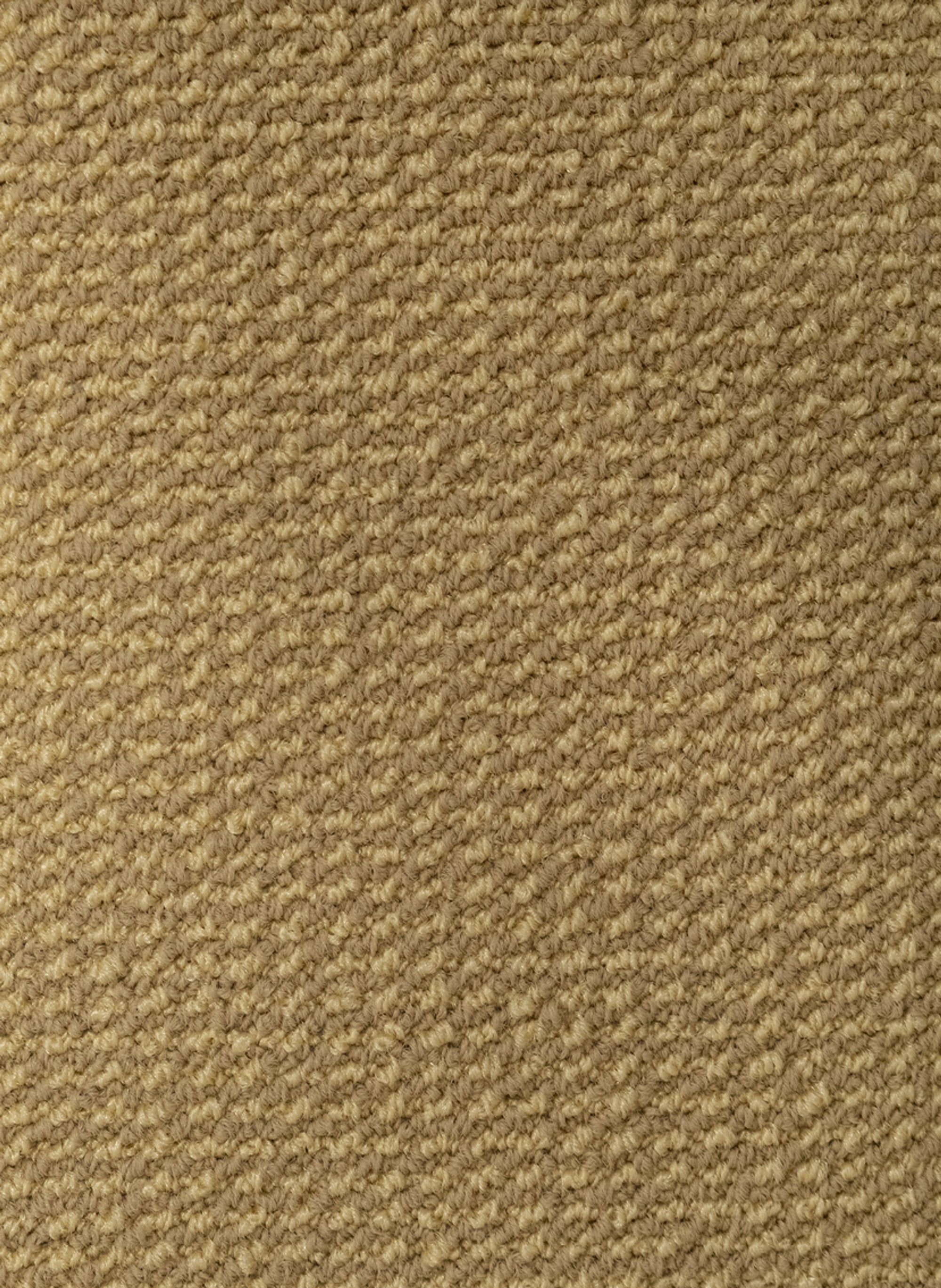 Rivoli SDN 53 Riet