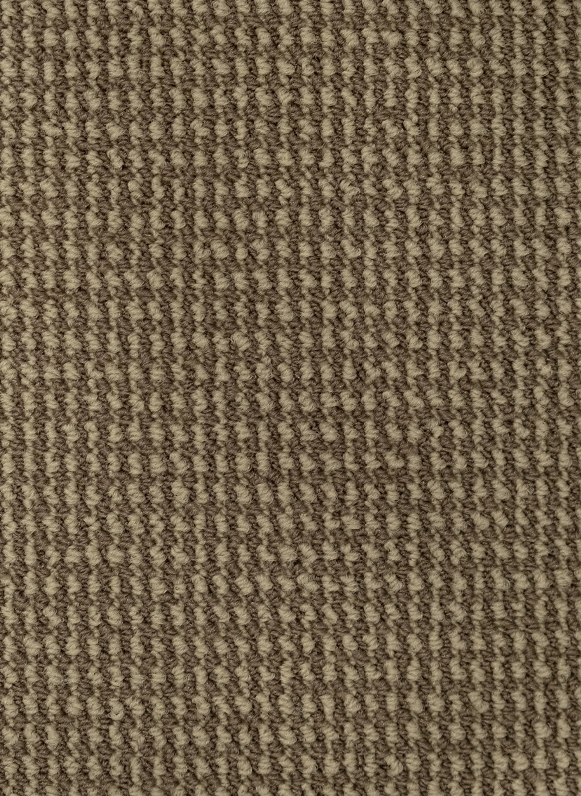 Rivoli SDN 34