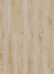 Dynamic 2500 (dryback) Natural light
