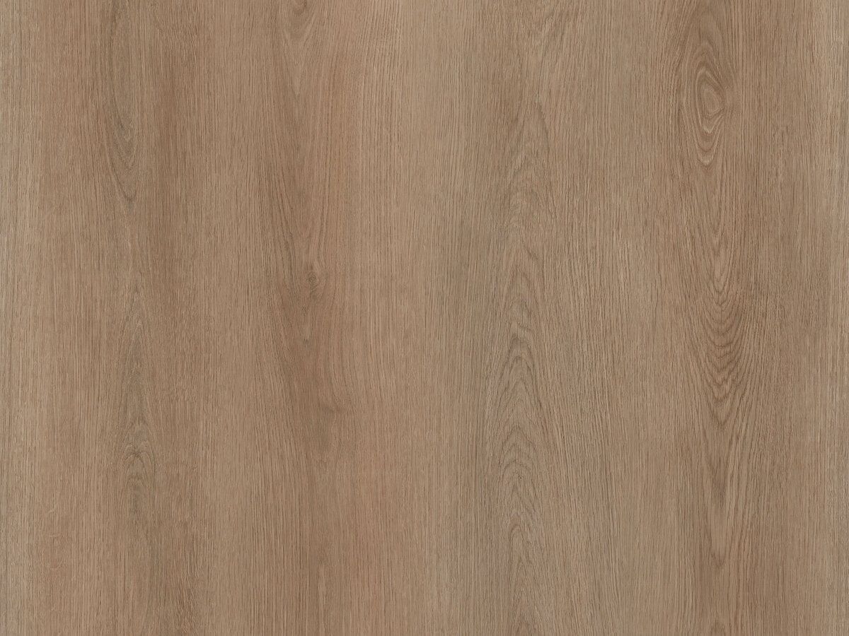 Canyon Oak Plank Dry-Back