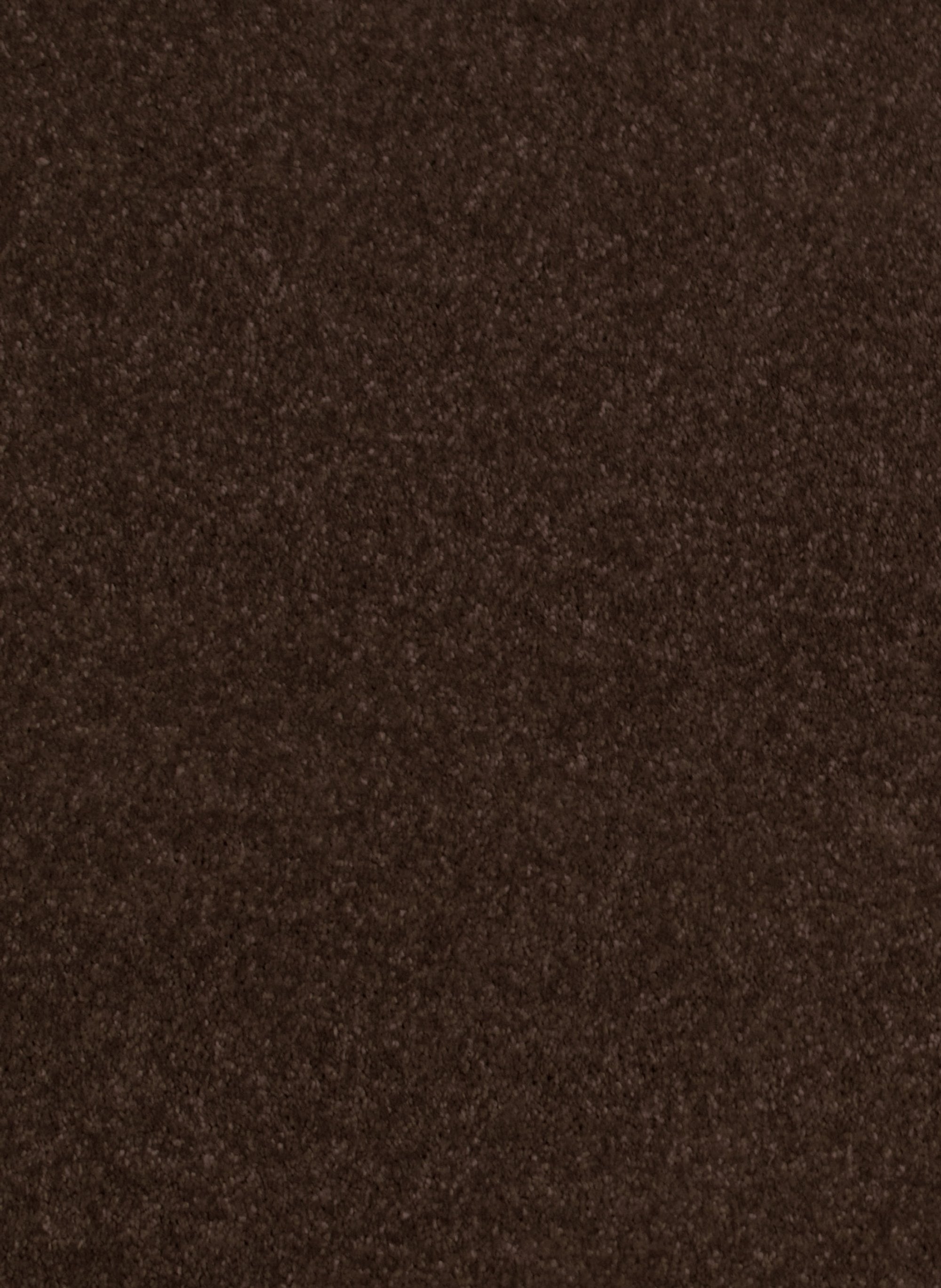 Luxor 164 Brons