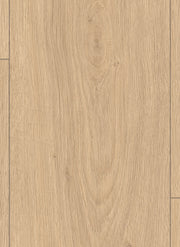 Lion 8 mm 2027 Gamble Oak Light