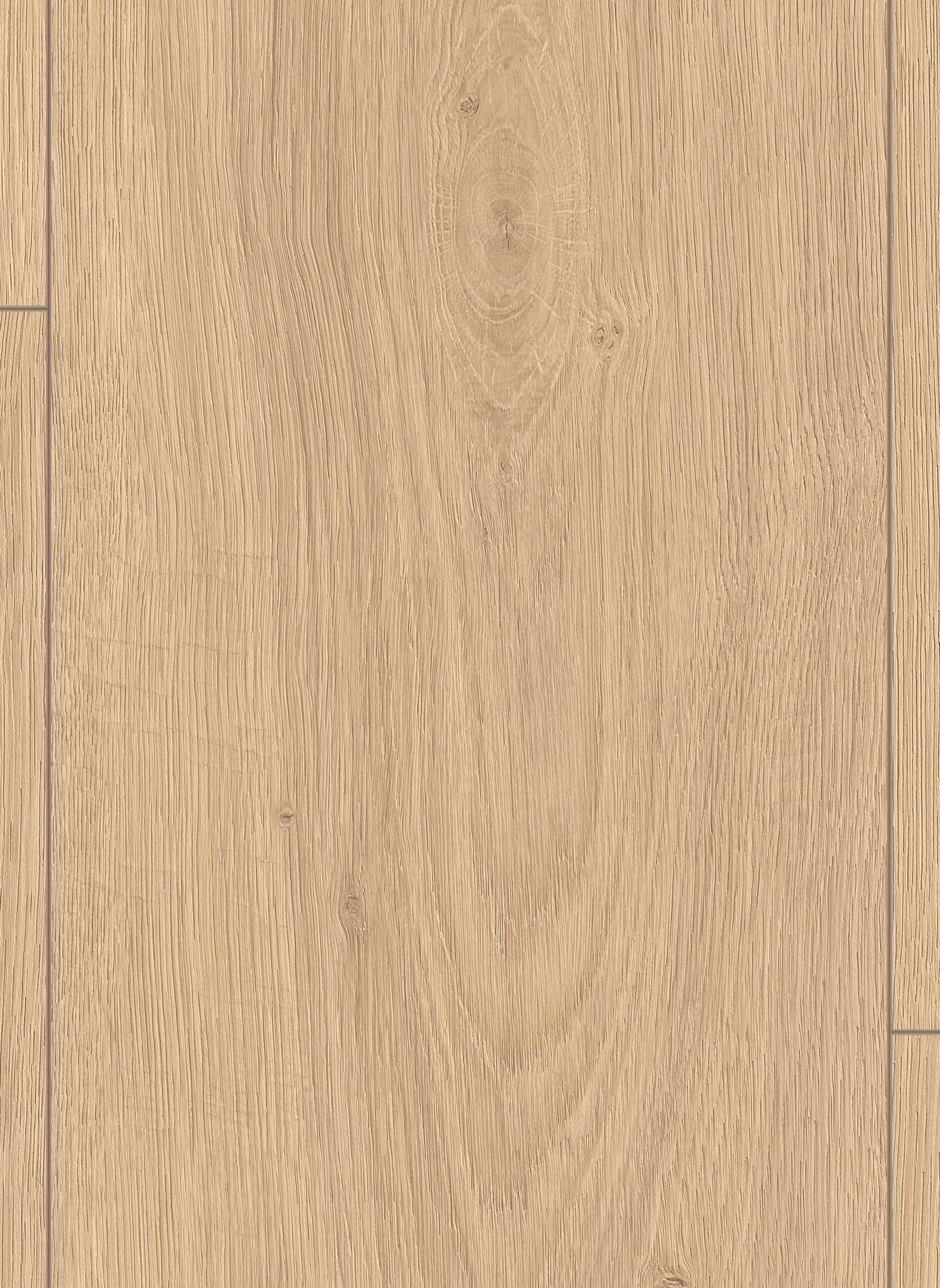 Lion 8 mm 2027 Gamble Oak Light