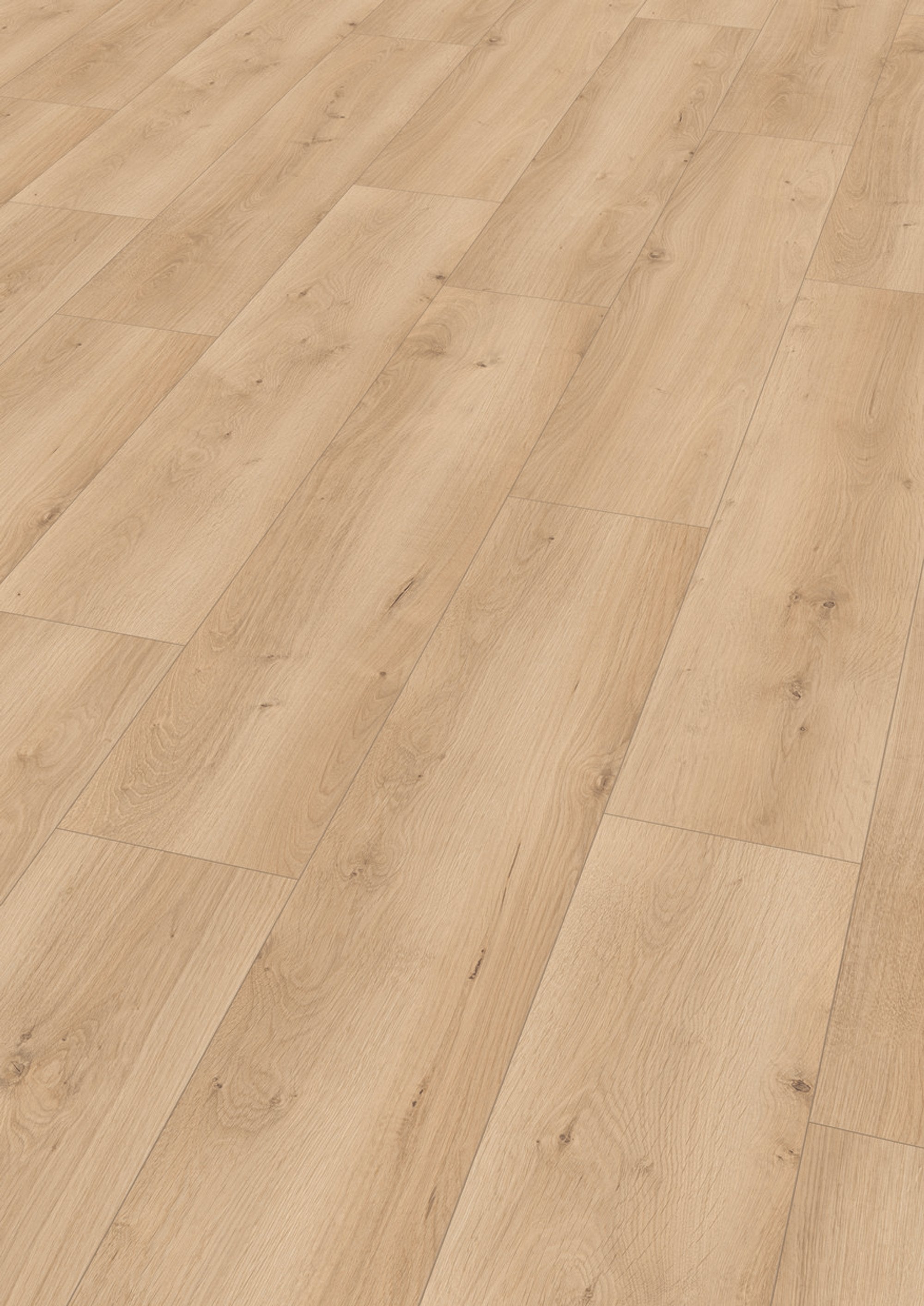 Lion 8 mm 2113 Volta Eiken Beige