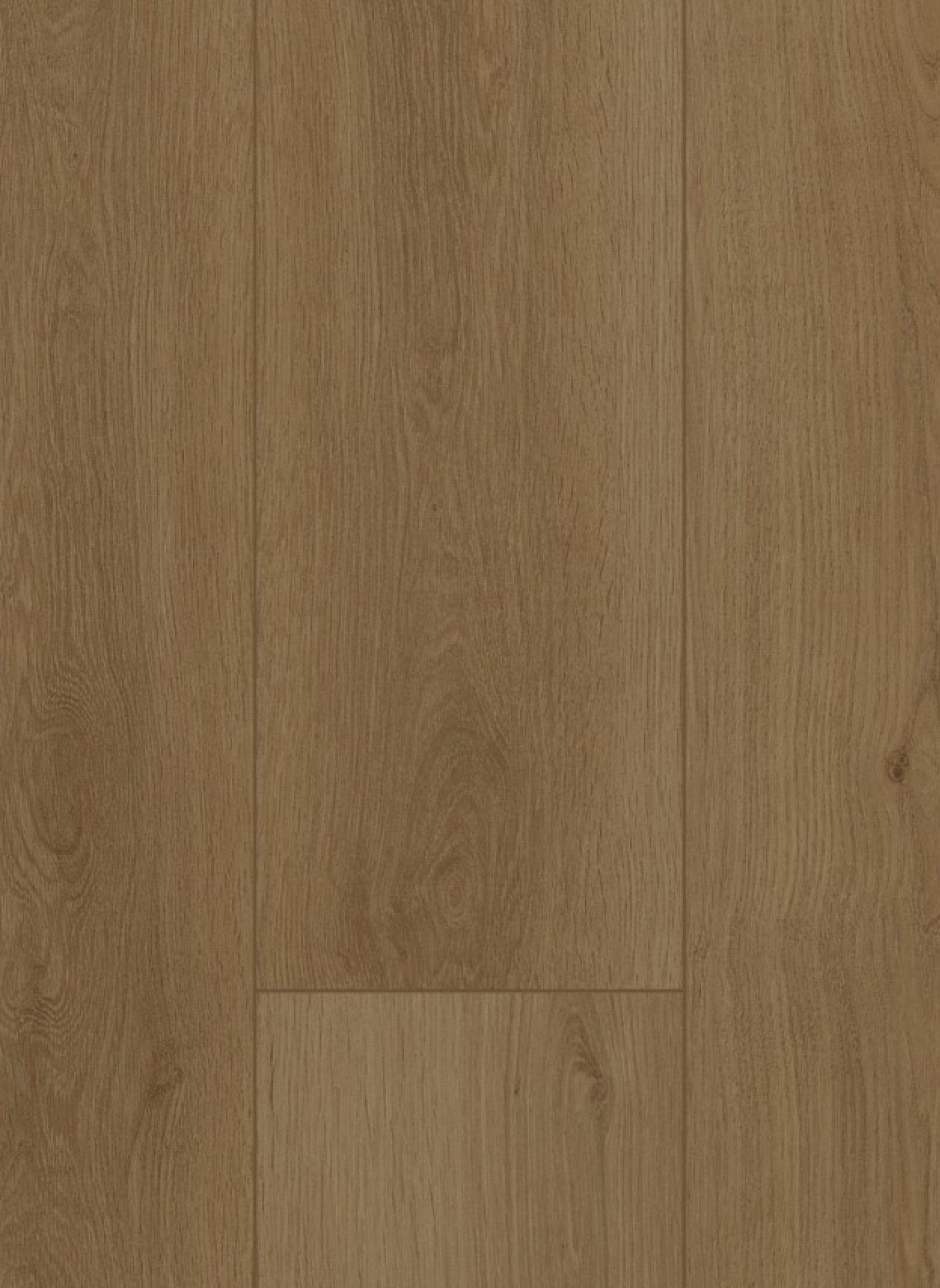 Firmfit 6703 (dryback) Summerfield Sand