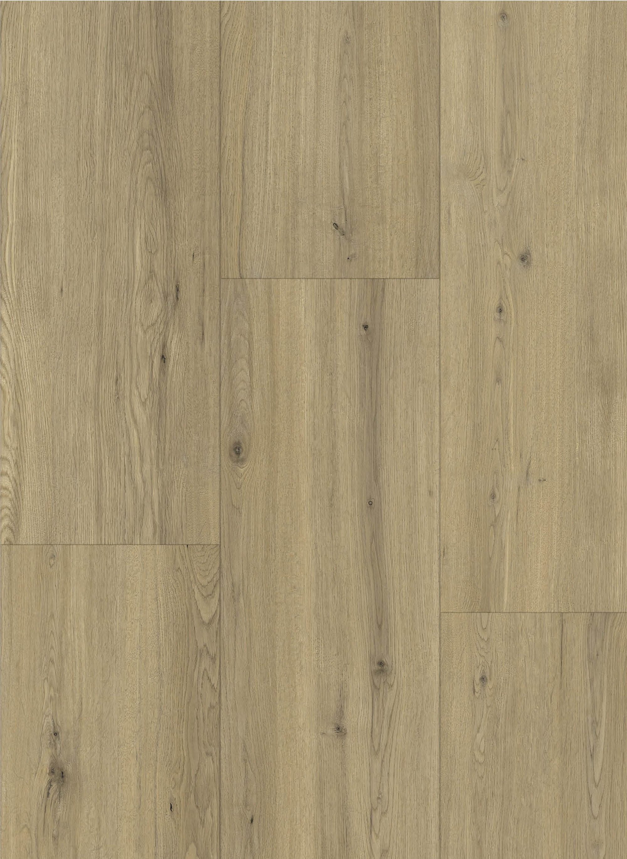 Maestro 80651 Tasmins Oak