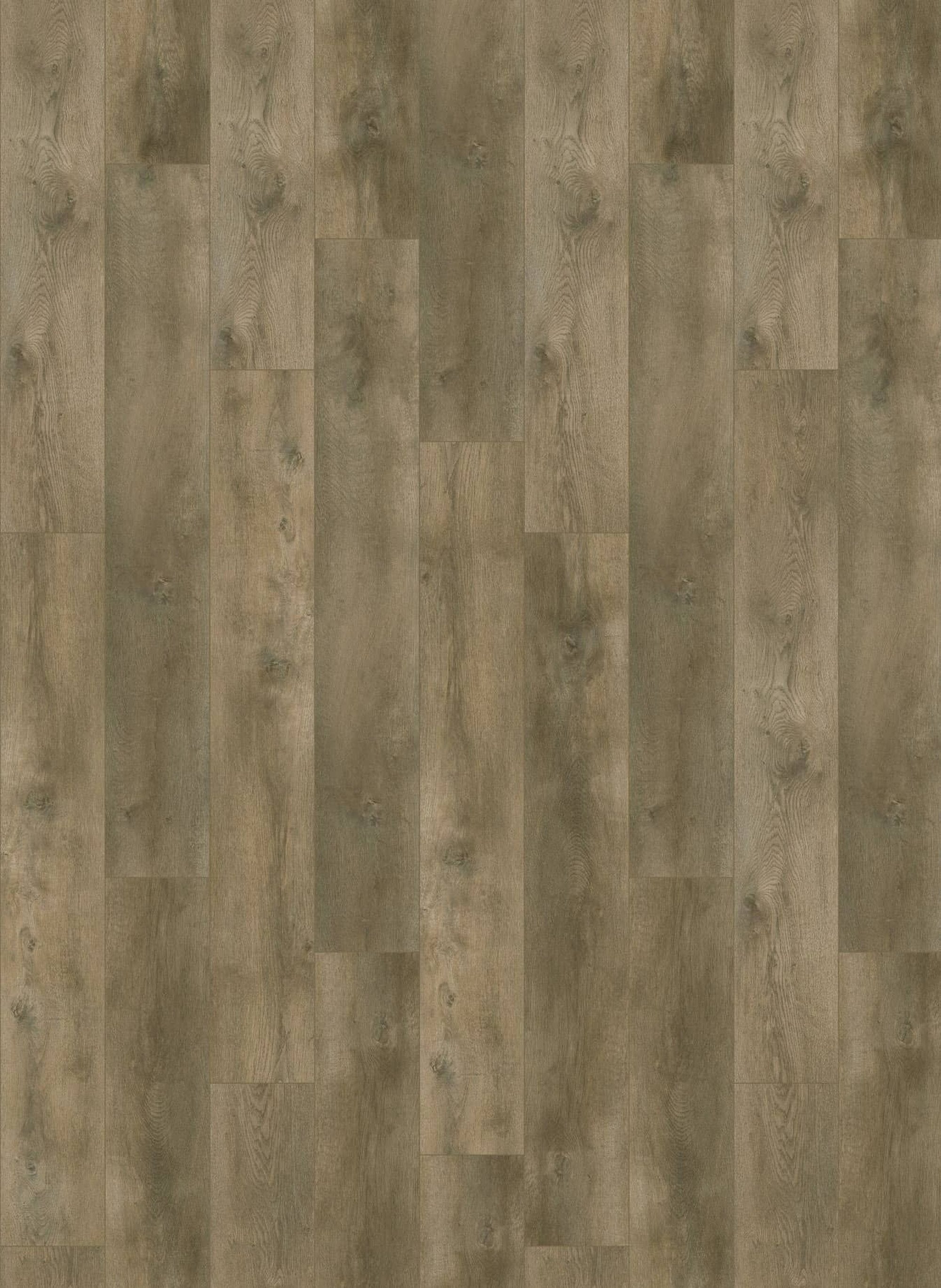 Nevada 6001 (dryback) Valley Oak Pepper