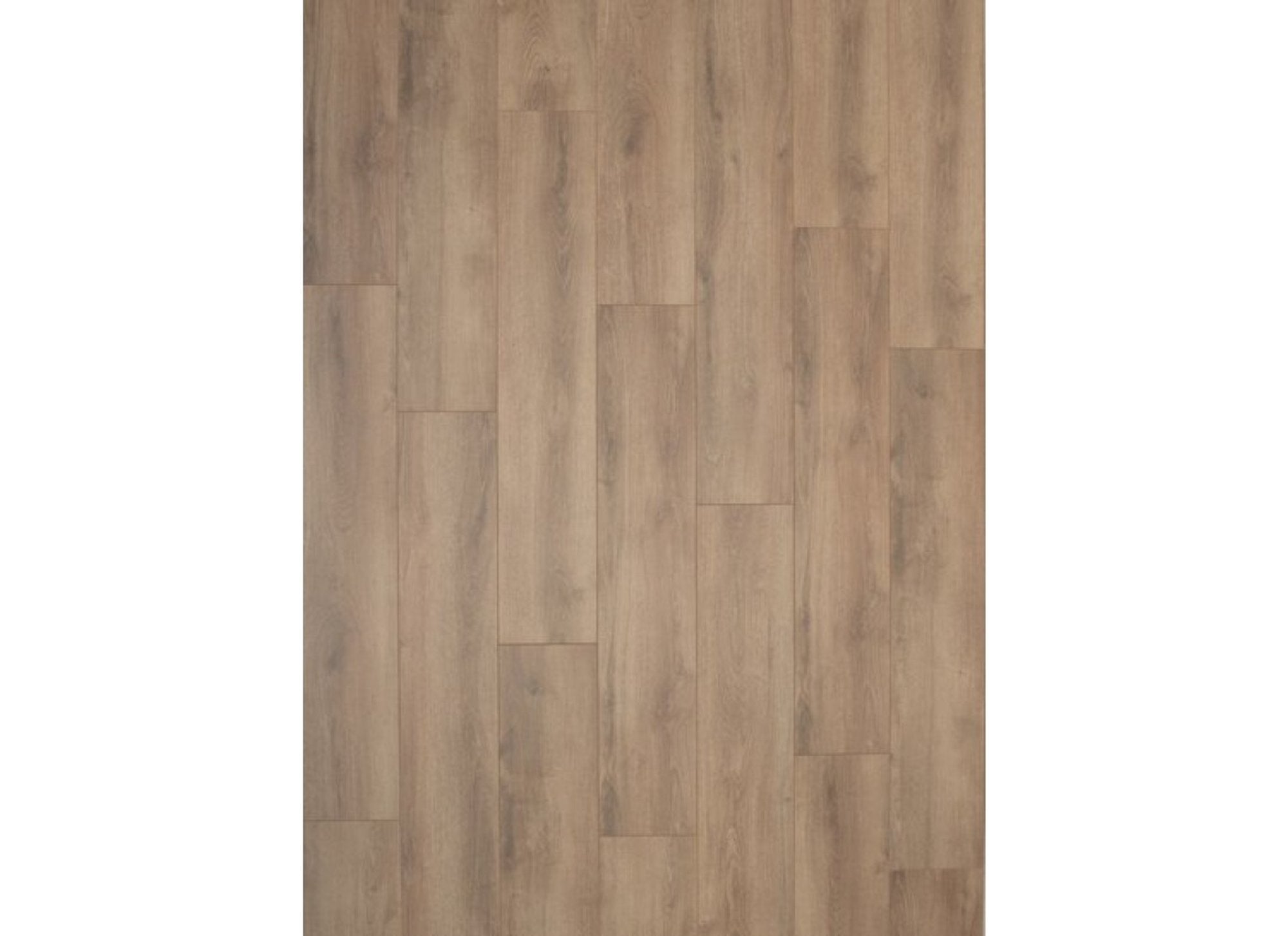 Falco 3903 Sommer Eiche Natur